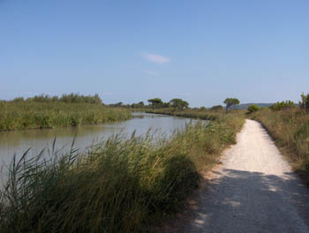 raid-canal (405).jpg